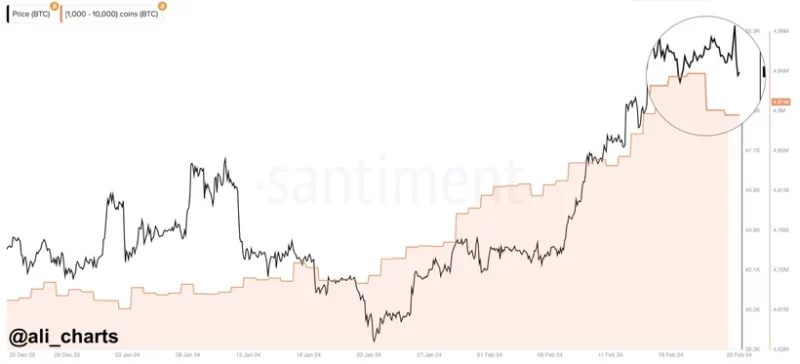 Biểu đồ cho thấy xu hướng nắm giữ của các nhà đầu tư Bitcoin, cho đến khi giá Bitcoin có dấu hiệu giảm những ngày gần đây. Nguồn: Ali.